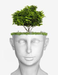 Tree appearing out of a model of a head